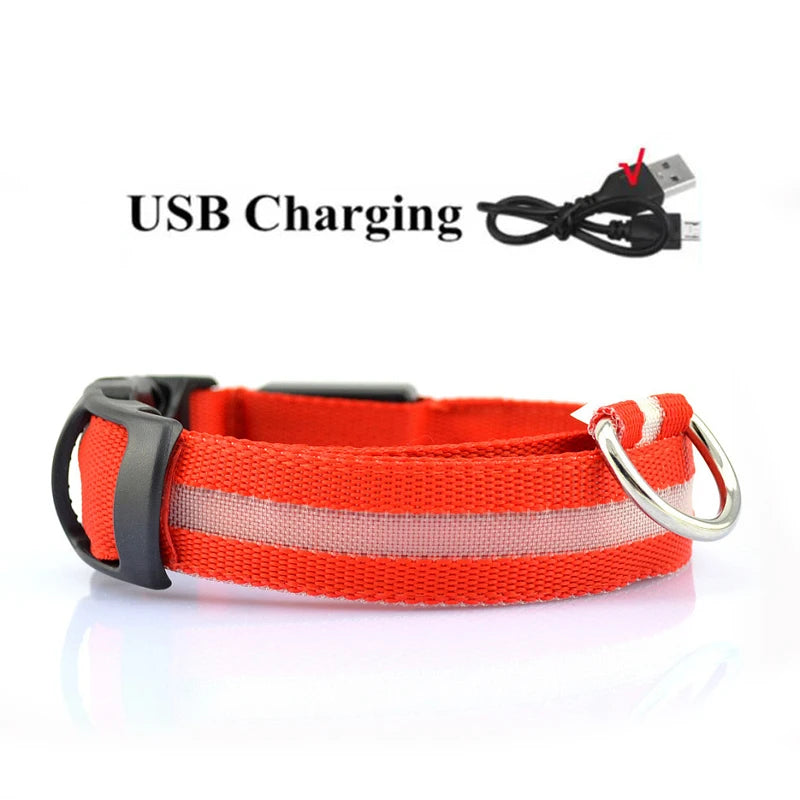 LED Dog Collar