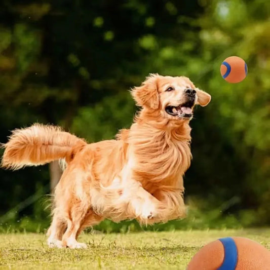Toy Fetch Ball