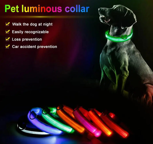 LED Dog Collar