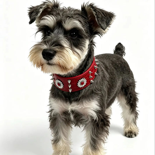 Rivet Dog Collar