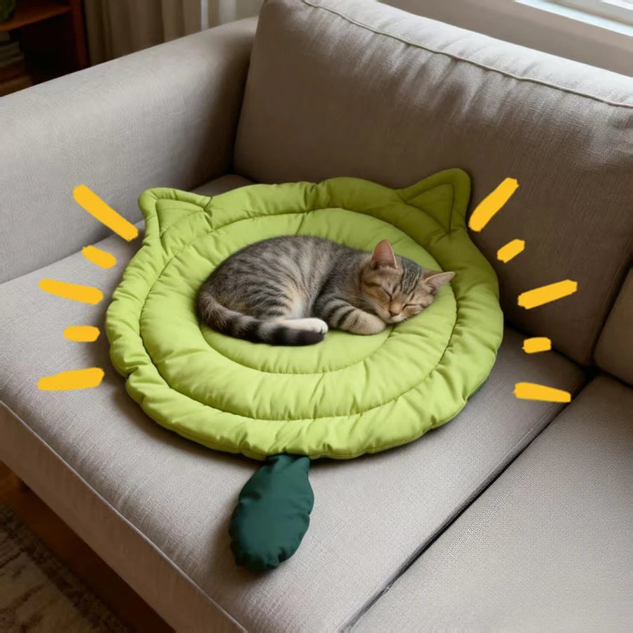 Cat Mat Bed