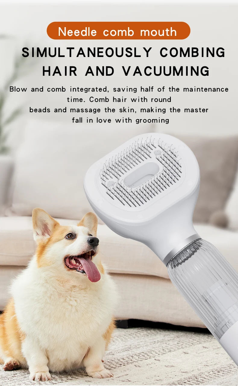 Pet Hair Dryer