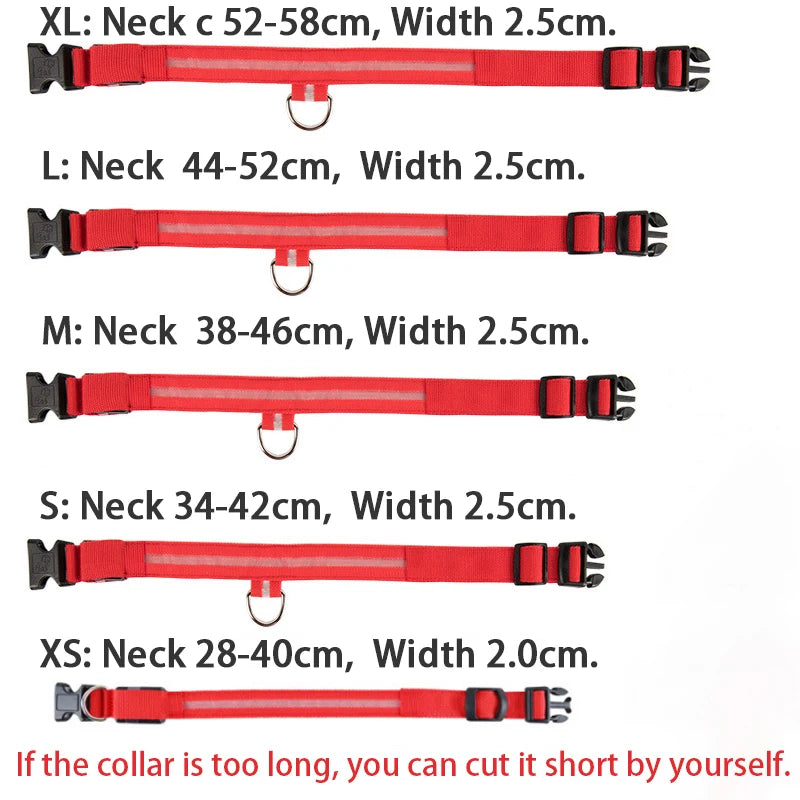 LED Dog Collar