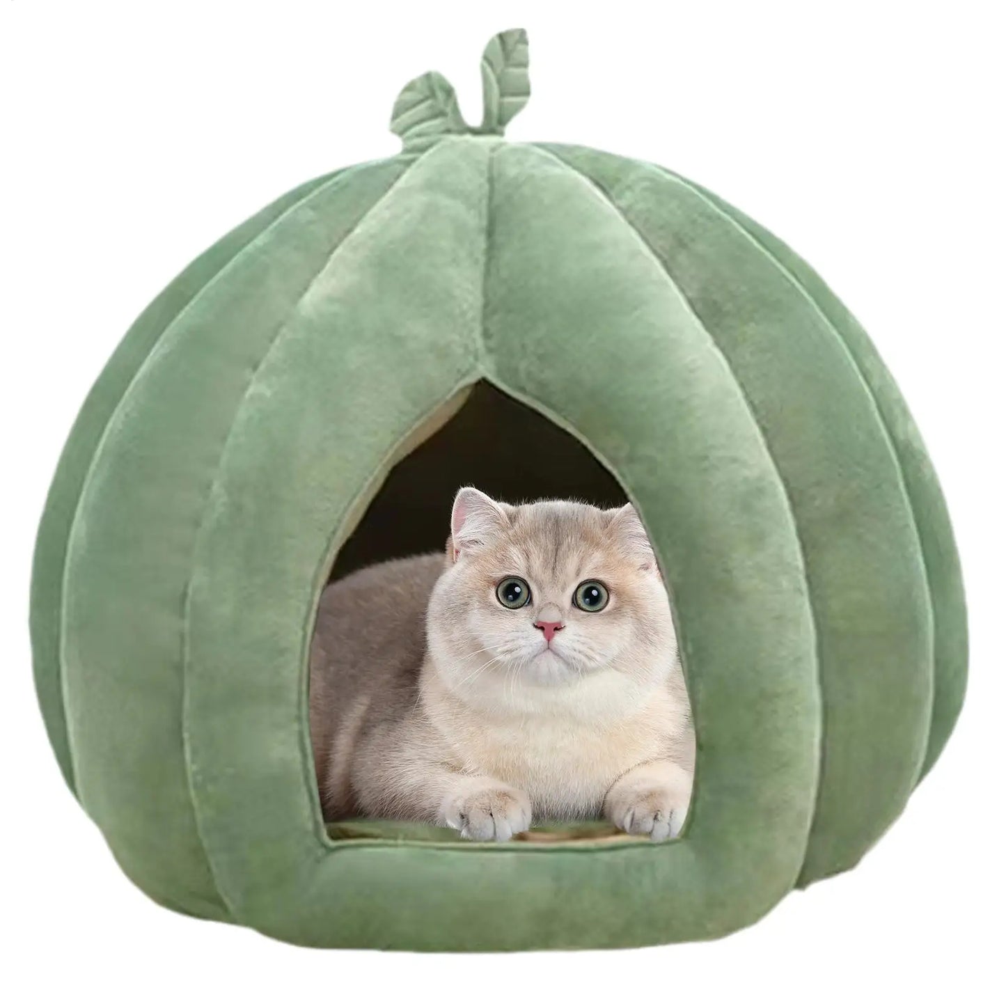 Pumpkin Cat House Bed