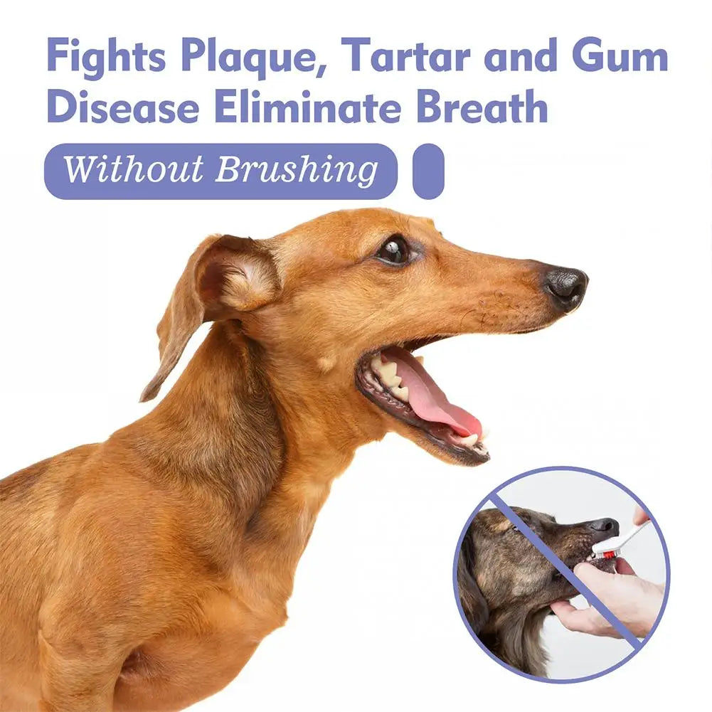 Oral Care Bad Breath/Teeth Cleaning Pet