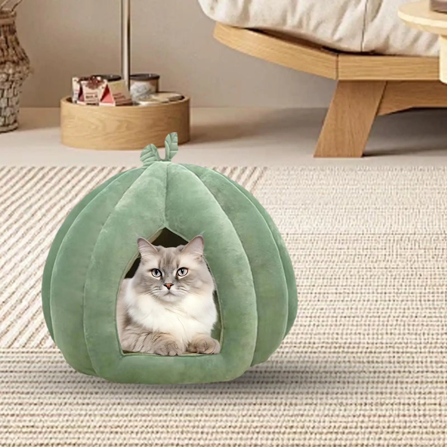 Pumpkin Cat House Bed
