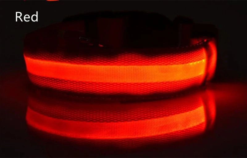 LED Dog Collar