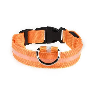 LED Dog Collar