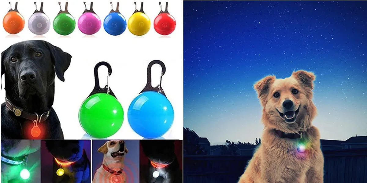 LED Dog Collar