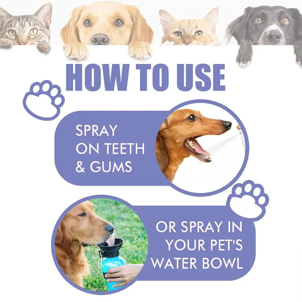 Oral Care Bad Breath/Teeth Cleaning Pet