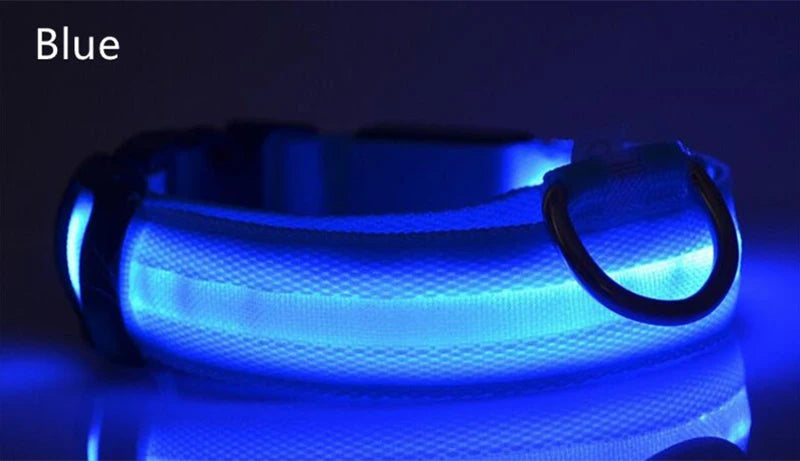 LED Dog Collar