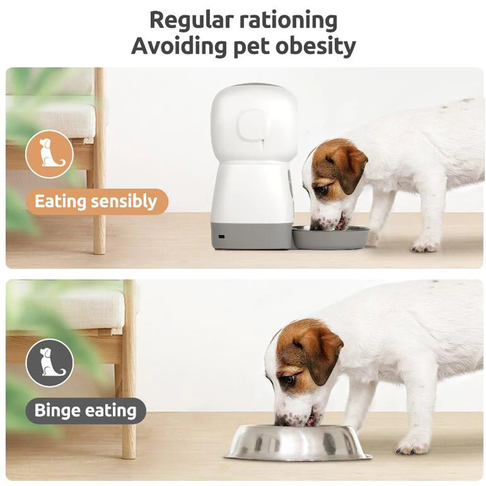 3.5L Automatic Cat Feeder