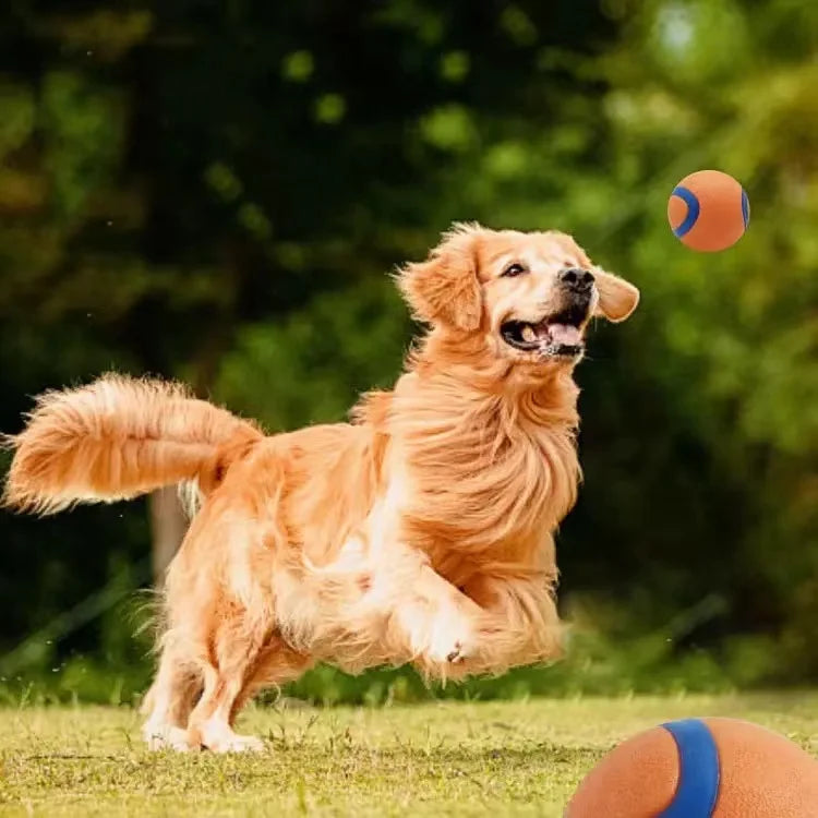Toy Fetch Ball