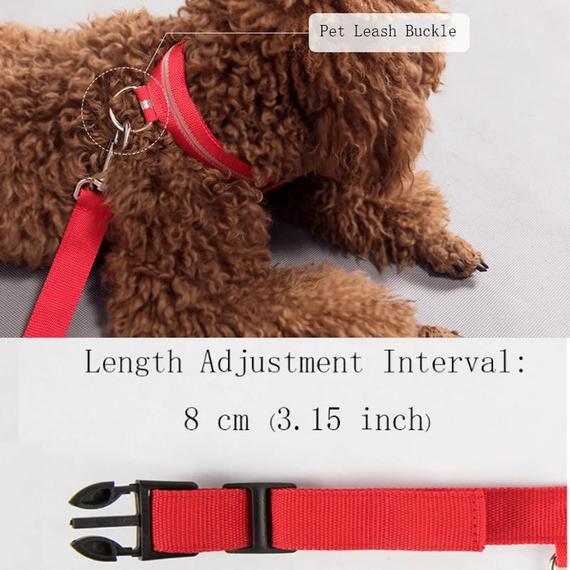LED Dog Collar