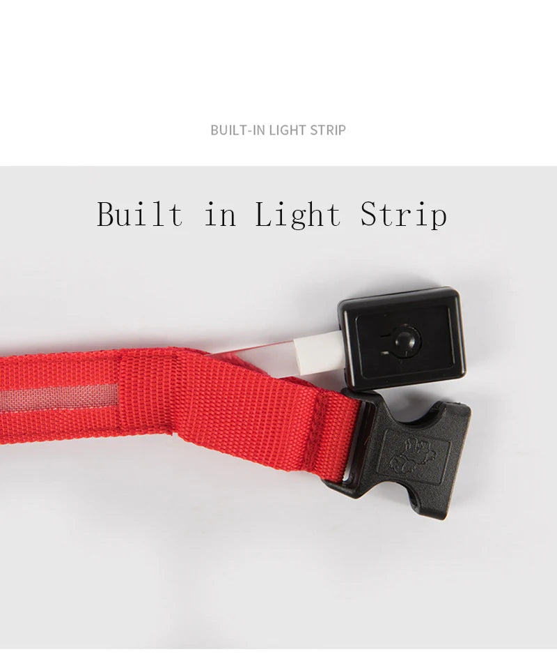 LED Dog Collar