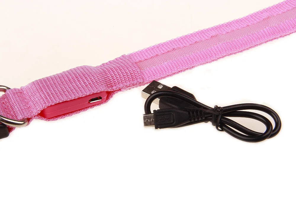 LED Dog Collar