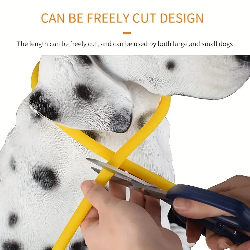 LED Dog Collar