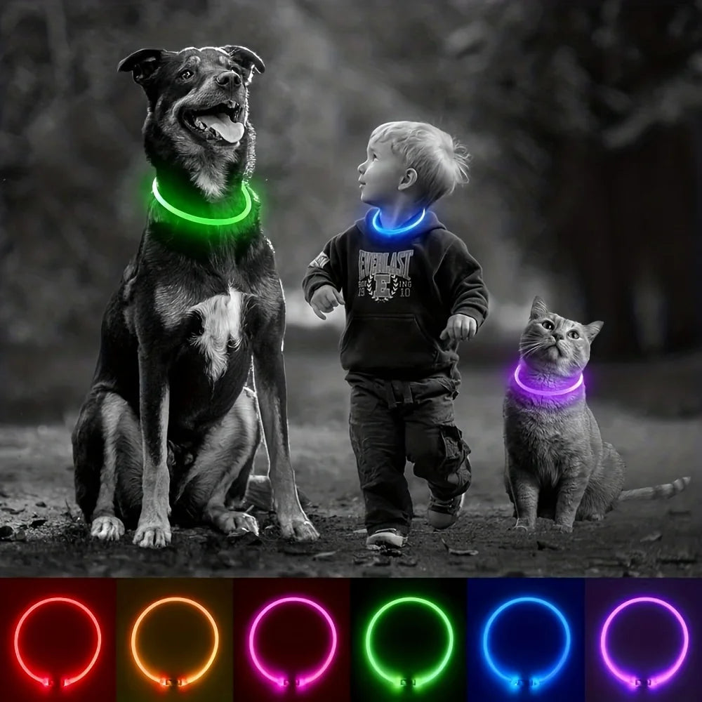LED Dog Collar