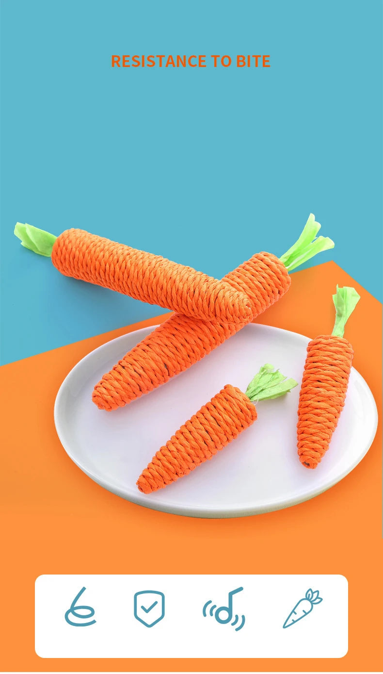 Carrot Cat Toy