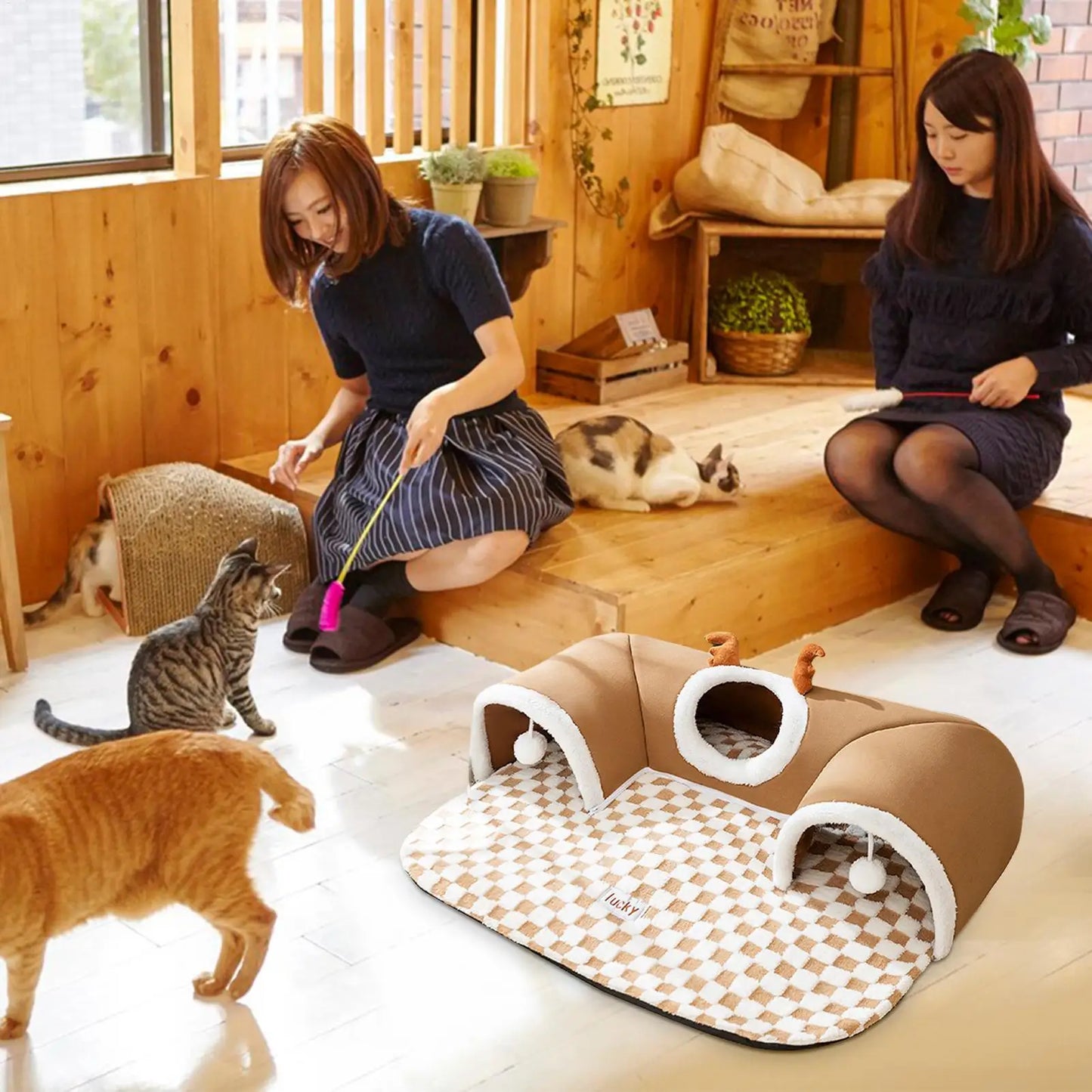 Cat Bed and Play Tunnel