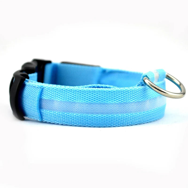 LED Dog Collar