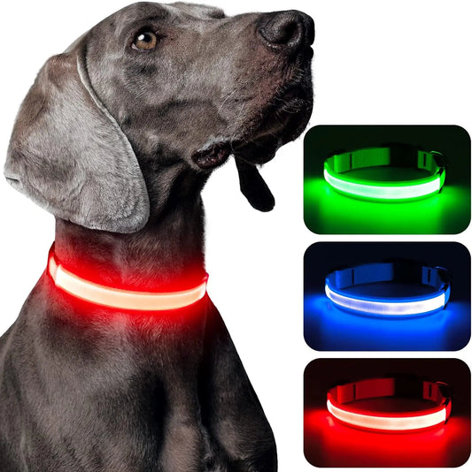 LED Dog Collar