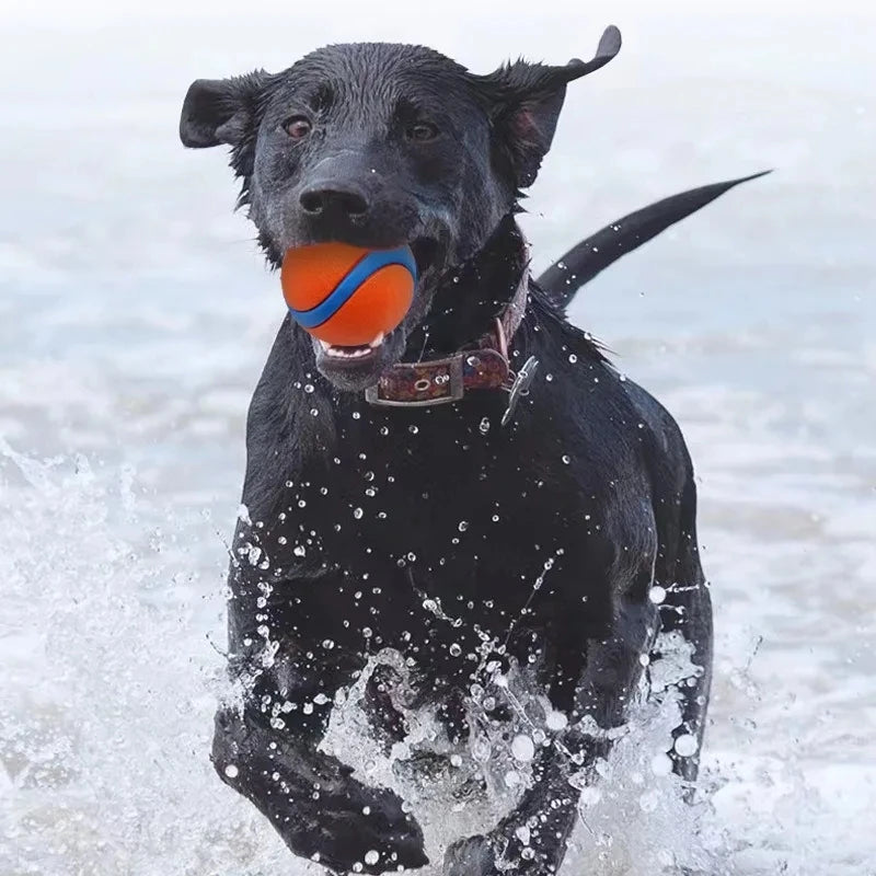 Toy Fetch Ball