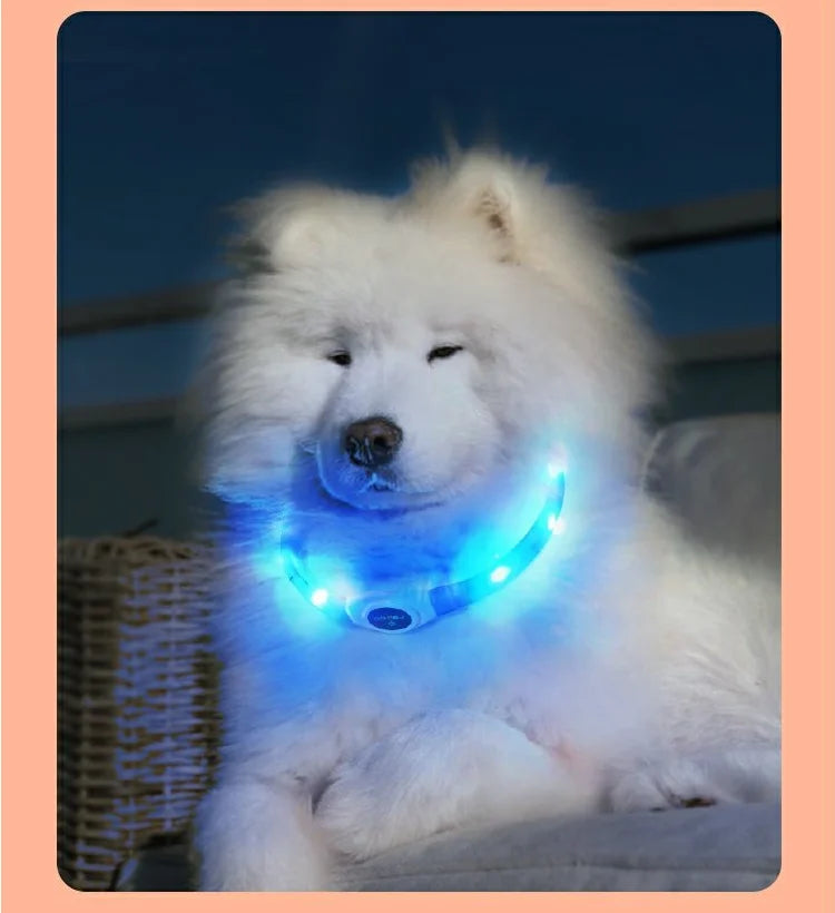 LED Dog Collar