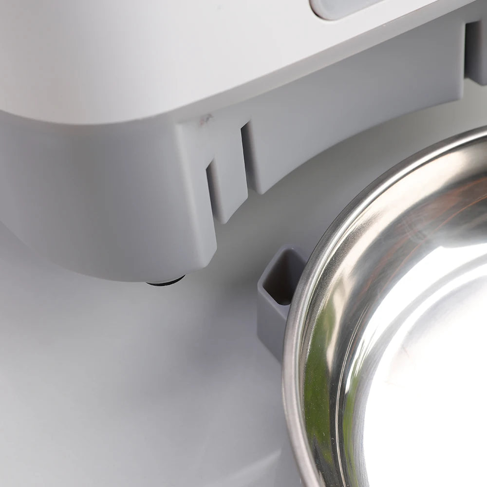 3.5L Automatic Cat Feeder