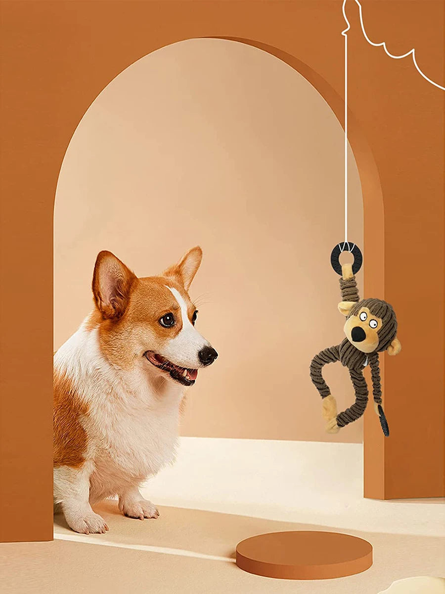 Dog Plush Chew Toy