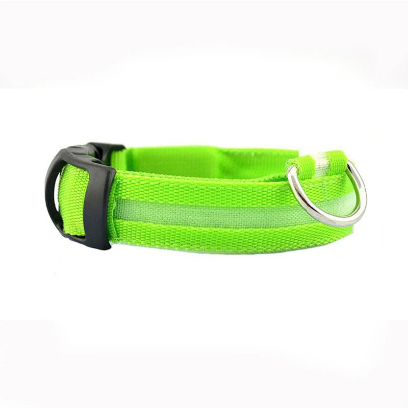 LED Dog Collar