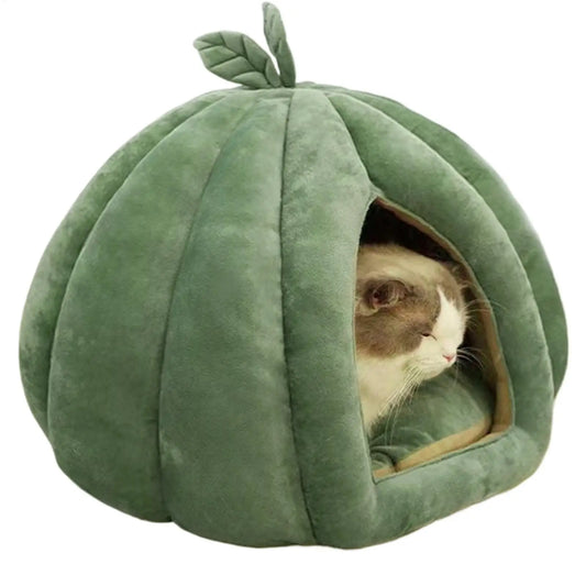 Pumpkin Cat House Bed