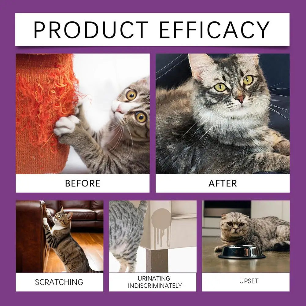 Pet Calming Spray