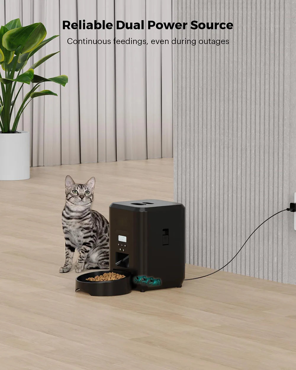 Smart Automatic Food Feeder