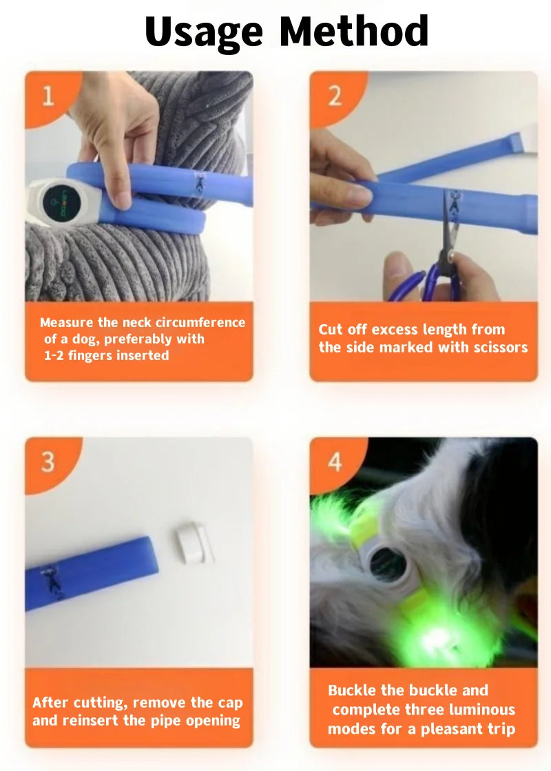 LED Dog Collar