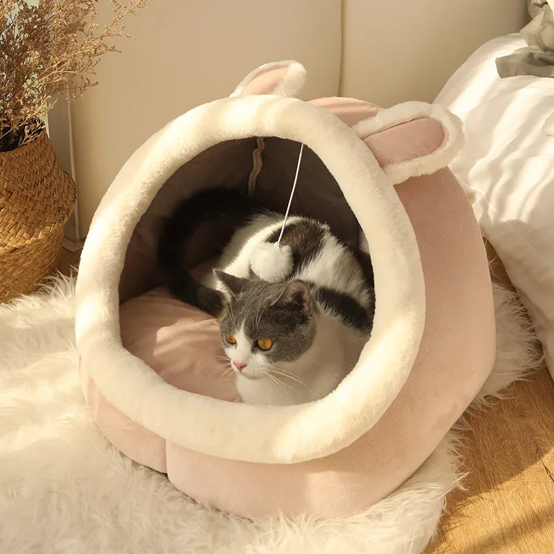Cat Bed with Cover and Toy