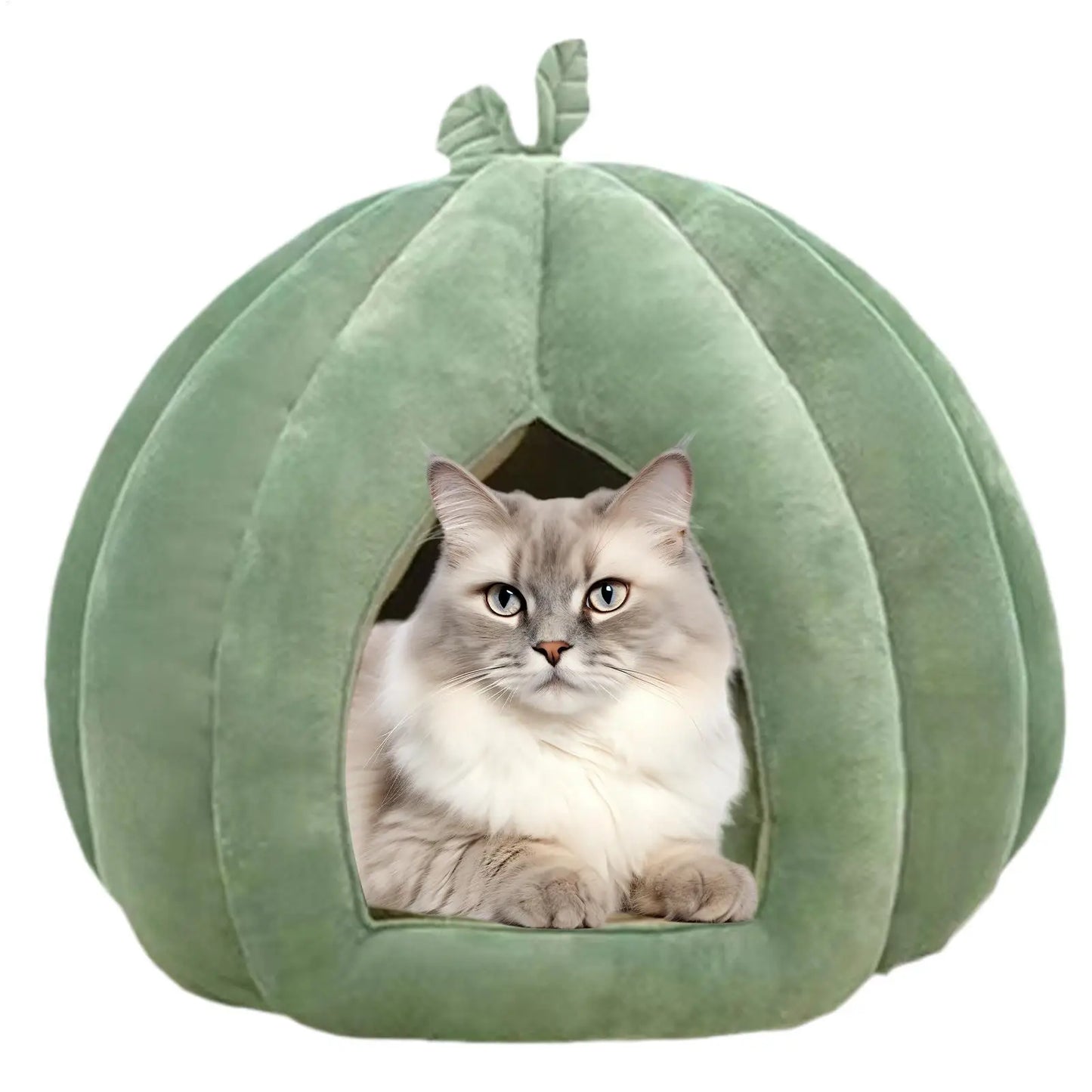 Pumpkin Cat House Bed