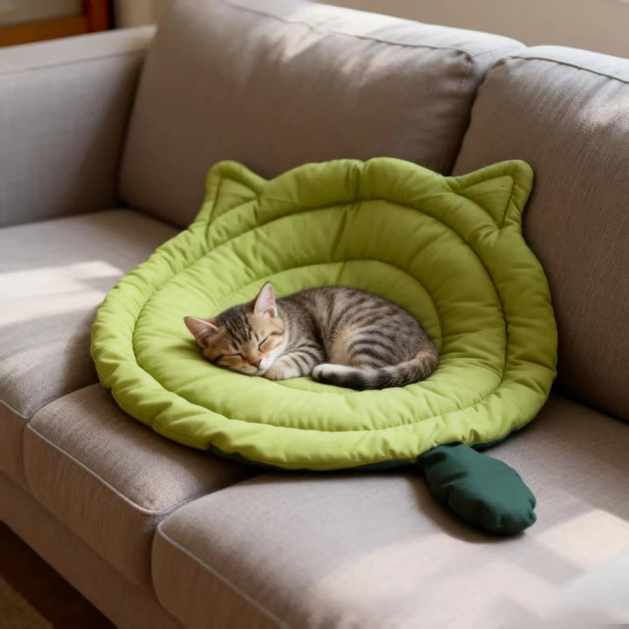 Cat Mat Bed