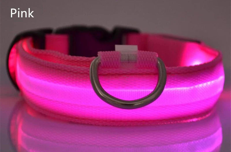 LED Dog Collar