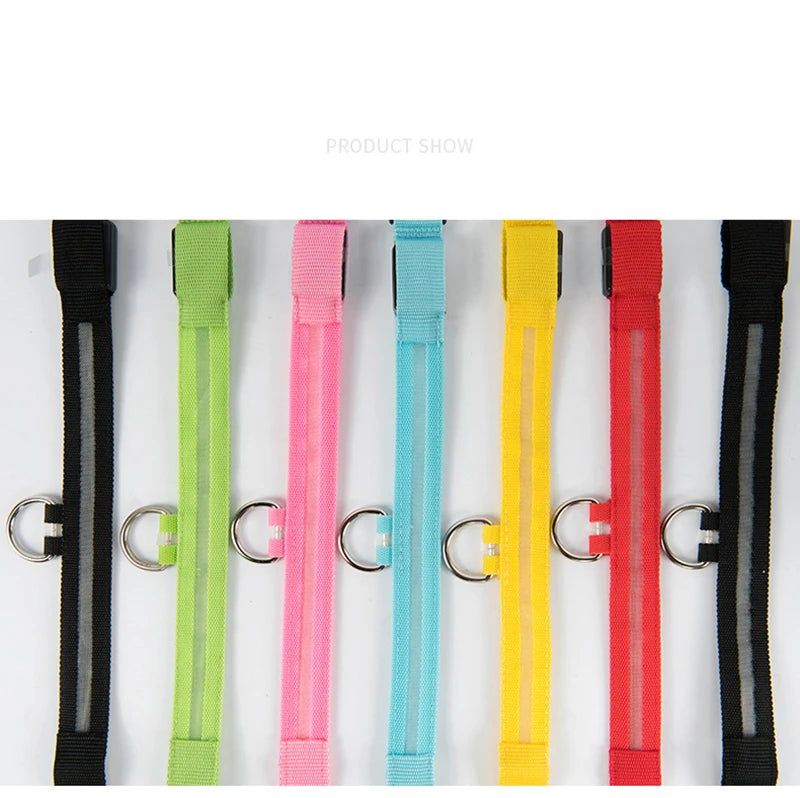 LED Dog Collar