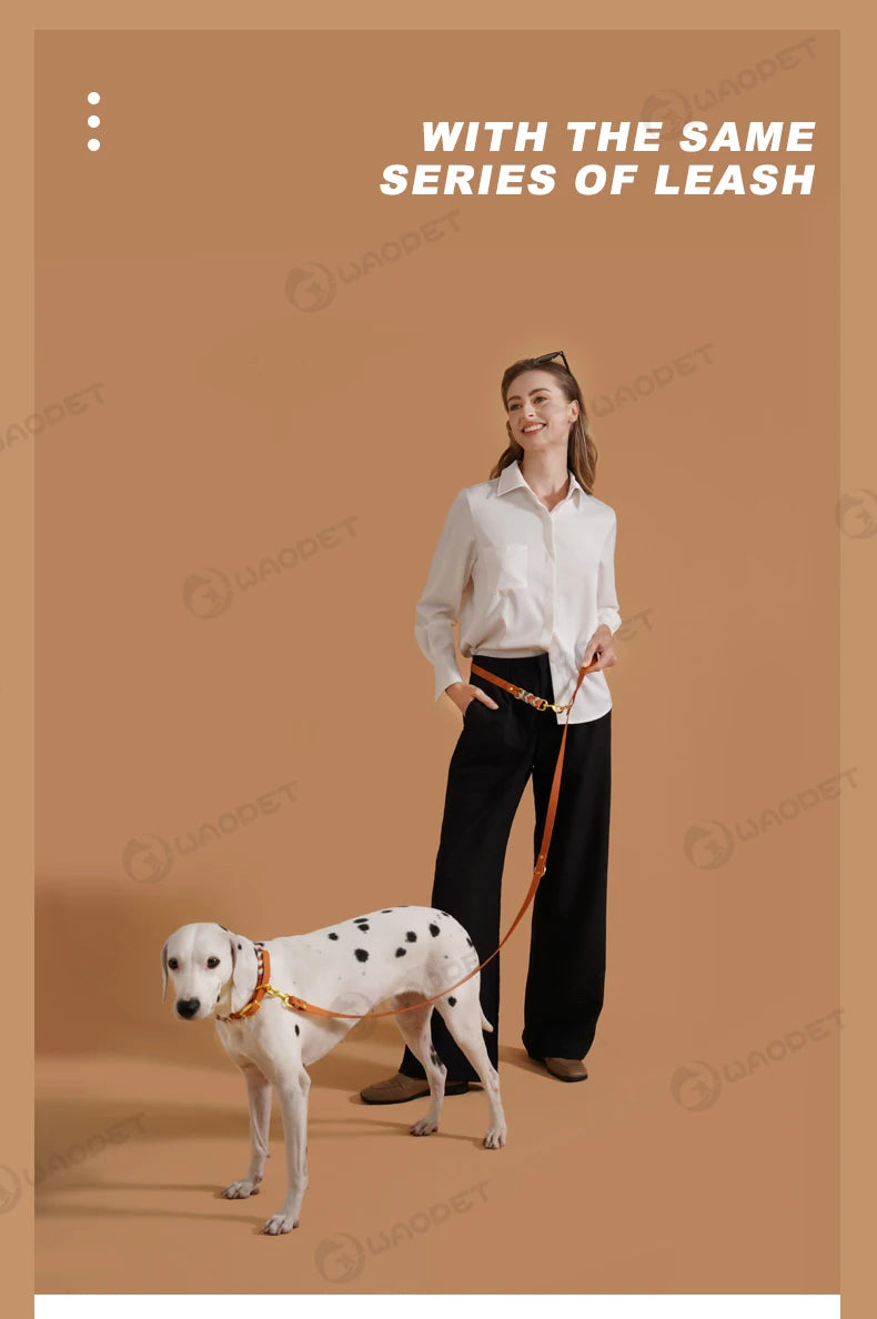 Dog Fashion Collar