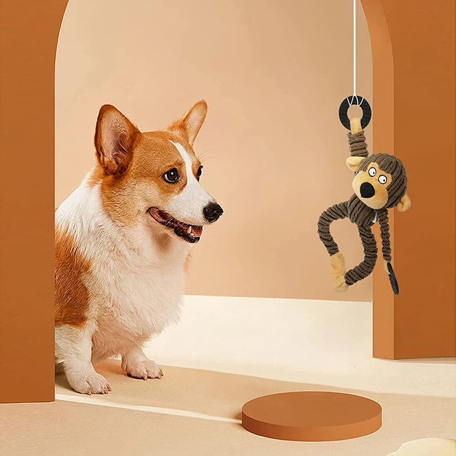 Dog Plush Chew Toy