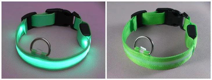 LED Dog Collar