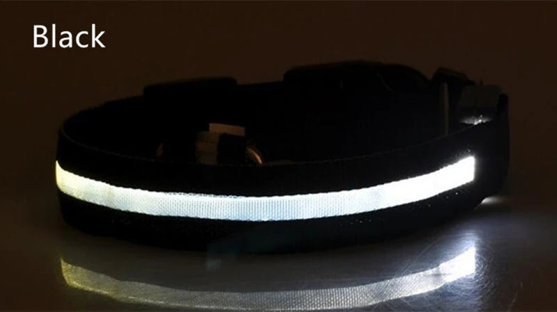 LED Dog Collar