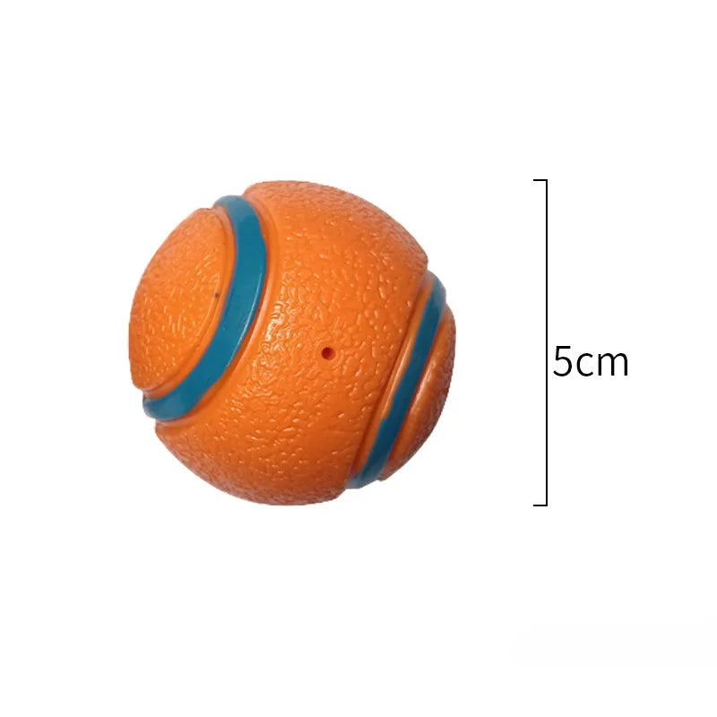 Toy Fetch Ball