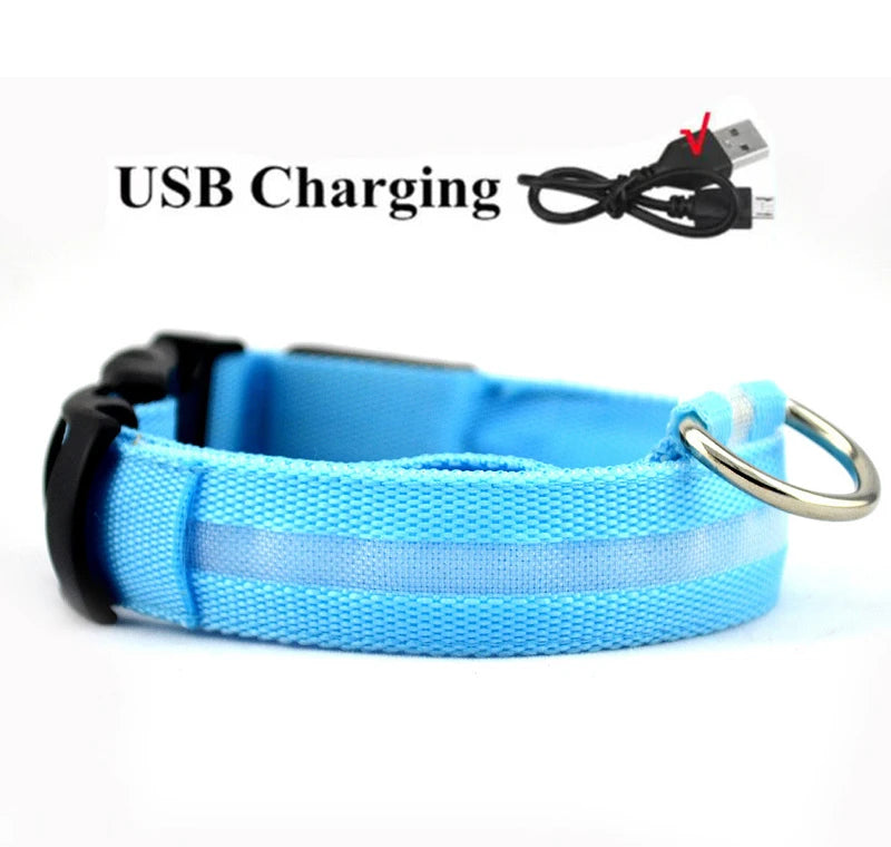 LED Dog Collar