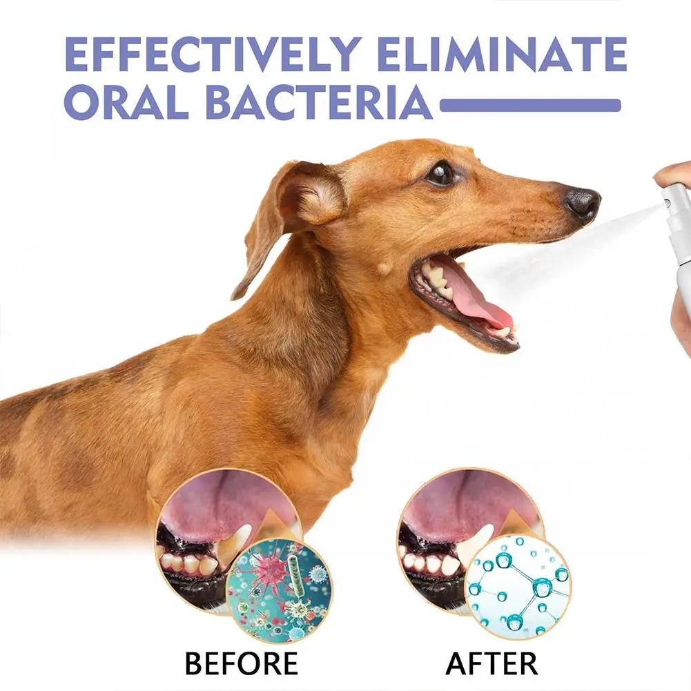 Oral Care Bad Breath/Teeth Cleaning Pet