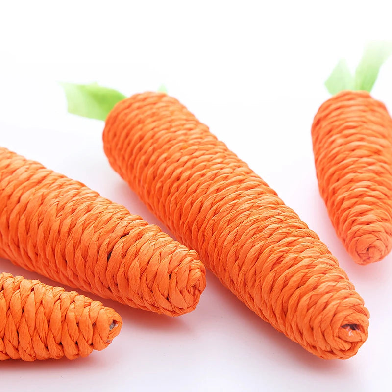Carrot Cat Toy