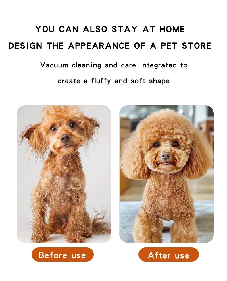 Pet Hair Dryer