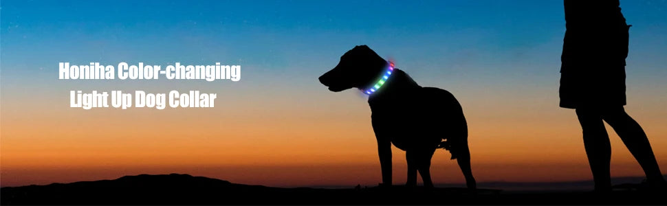 LED Dog Collar
